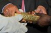 Mali : Barrick Gold placée sous administration provisoire en pleine crise fiscale