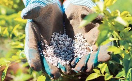 Engrais : les prix mondiaux en hausse de 11 % au premier trimestre 2025 Engrais : les prix mondiaux en hausse de 11 % au premier trimestre 2025