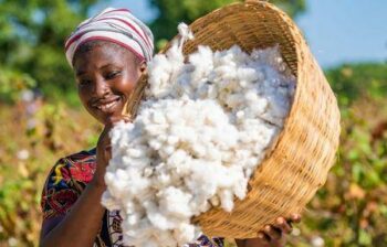 Côte d’Ivoire-Burkina Faso : l’autre duel dans le coton en Afrique de l’Ouest