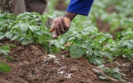 Nigeria : la Banque de l’agriculture bénéficiera d’un soutien public de près d’un milliard $ Nigeria : la Banque de l’agriculture bénéficiera d’un soutien public de près d’un milliard $