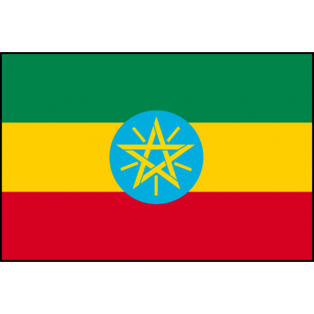 Ethiopia: robust growth despite challenges Ethiopia: robust growth despite challenges
