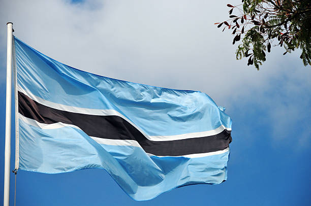 Botswana puts the brakes on diamonds Botswana puts the brakes on diamonds
