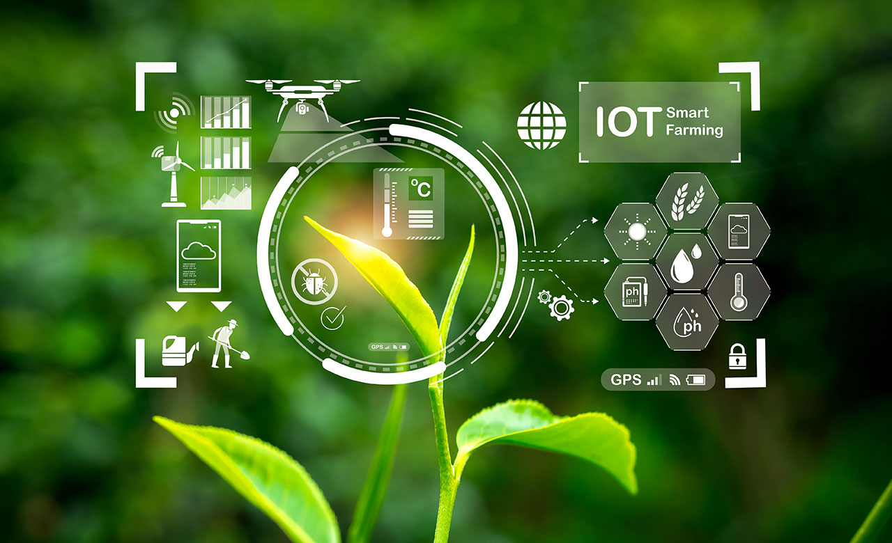 L’IA et l’IoT au Service de l’Agriculture : Une Révolution Verte en Marche L’IA et l’IoT au Service de l’Agriculture : Une Révolution Verte en Marche