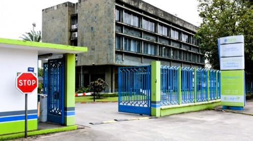 Cameroun : le secteur de l’électricité pourrait-il disjoncter ?