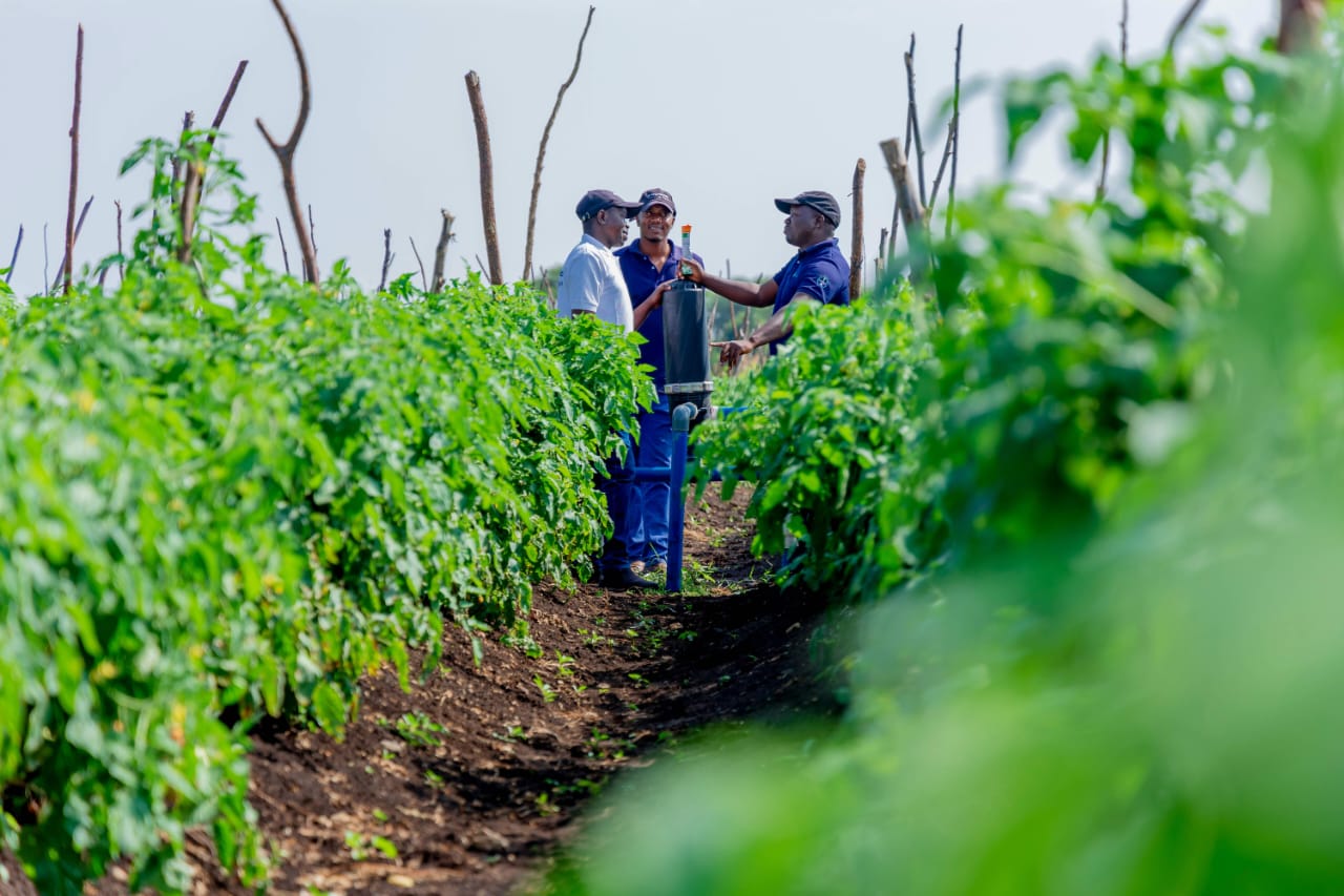 With AgriConnect, the World Bank Group Aims to Help Transform African Agriculture